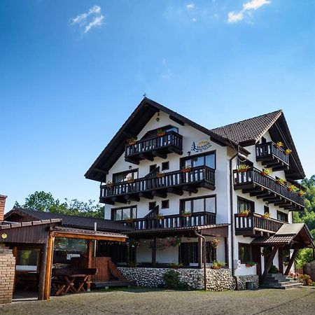Bradutul De La Munte Villa Bran  Dış mekan fotoğraf