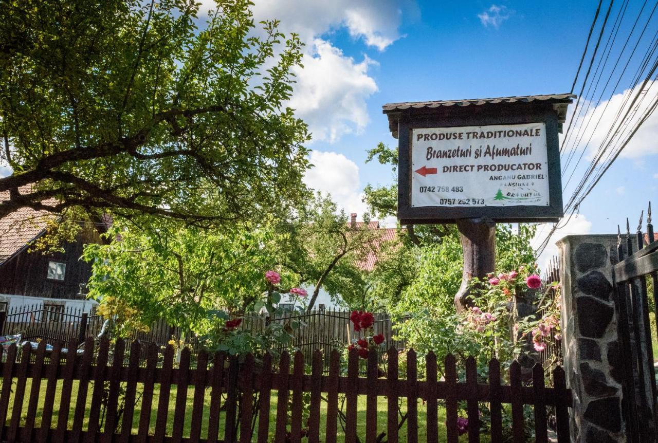 Bradutul De La Munte Villa Bran  Dış mekan fotoğraf