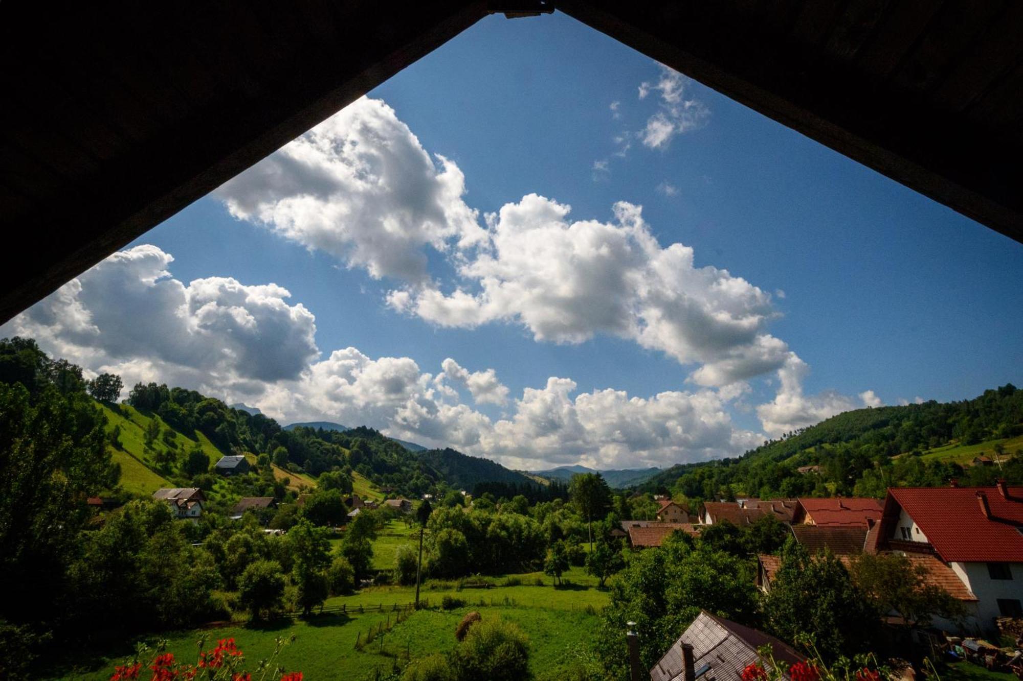 Bradutul De La Munte Villa Bran  Dış mekan fotoğraf