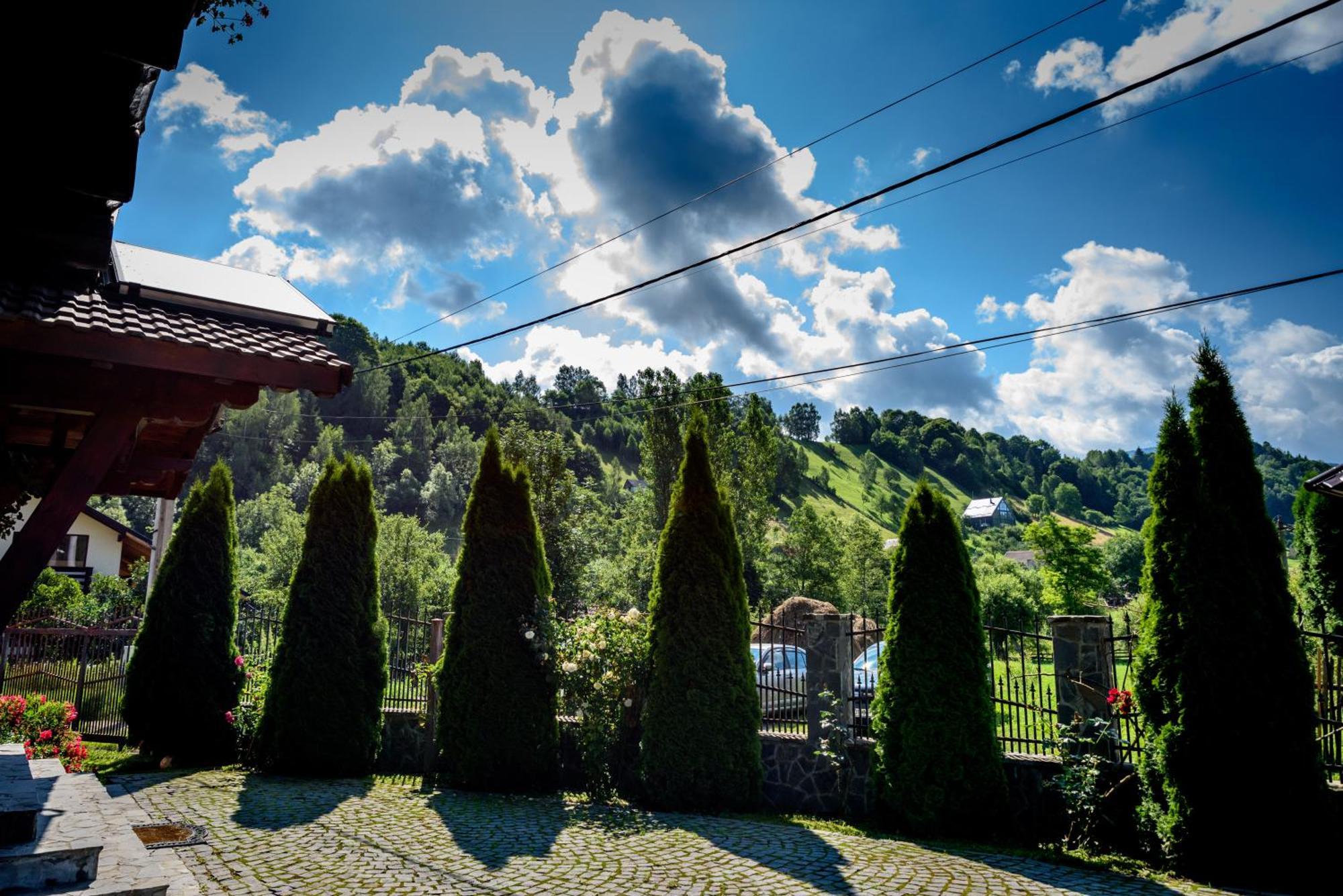 Bradutul De La Munte Villa Bran  Dış mekan fotoğraf